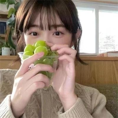 看不见的城市第二季