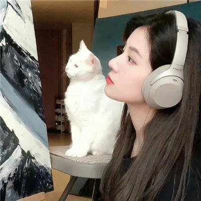 不规则的爱